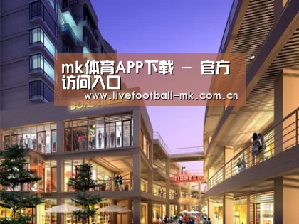 案例展示一