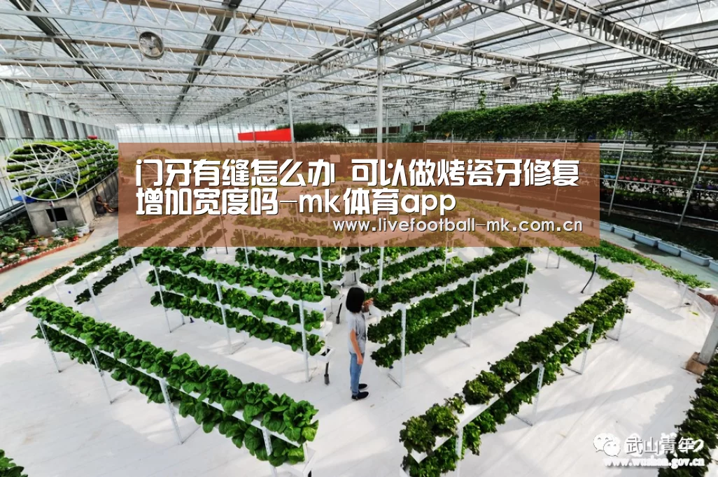 门牙有缝怎么办 可以做烤瓷牙修复增加宽度吗-mk体育app(图2) mk体育在线