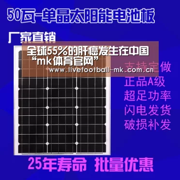 全球55%的肝癌发生在中国“mk体育官网”(图1) mk体育官网