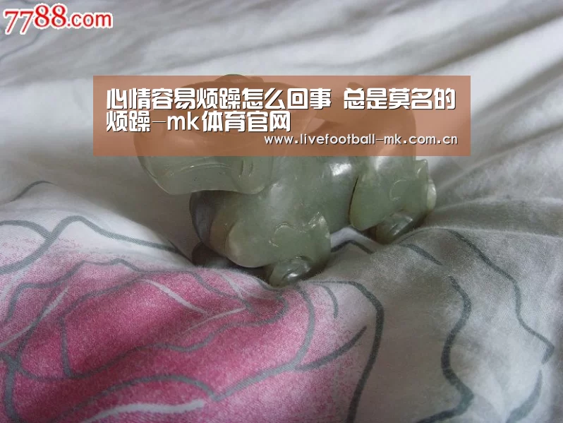 mk体育下载