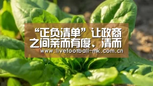 “正负清单”让政商之间亲而有度、清而有为_时事政治_中公教育网|mk体育下载(图3) mk体育在线