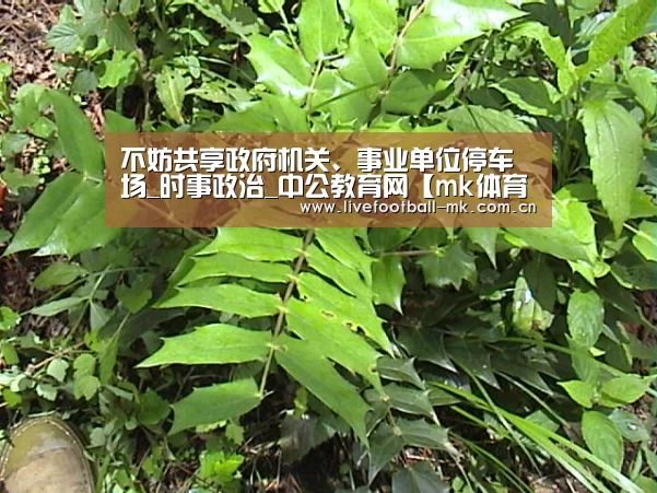 不妨共享政府机关、事业单位停车场_时事政治_中公教育网【mk体育官网】(图1) mk体育在线