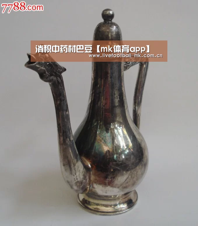 消积中药材巴豆【mk体育app】(图1) mk体育app